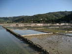 Strunjan Landscape Park
