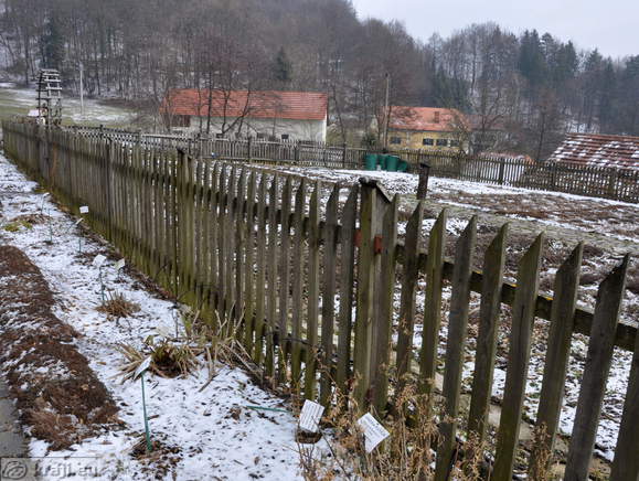 Pot ob vrtu zdravilnih zelišč Pot ob vrtu zdravilnih zelišč