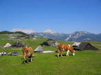 Velika planina Velika planina